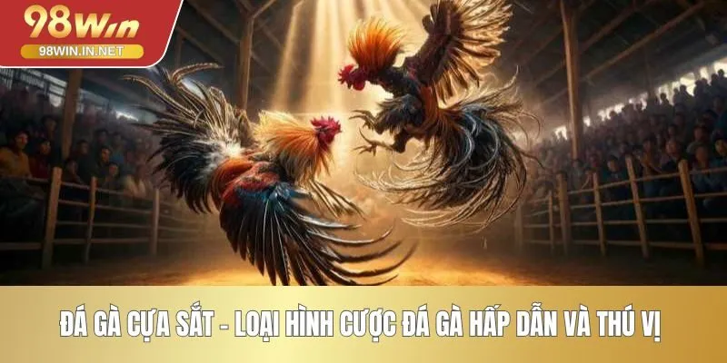 Đá Gà Cựa Sắt - Loại Hình Cược Đá Gà Hấp Dẫn Và Thú Vị