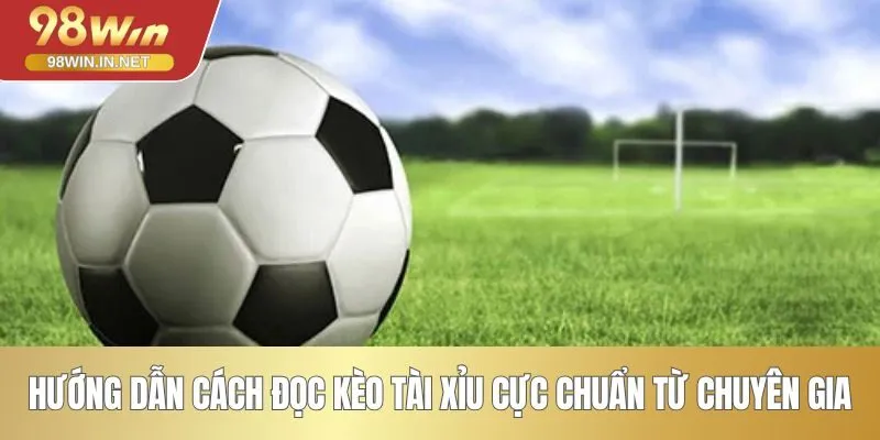 Hướng dẫn cách đọc kèo tài xỉu cực chuẩn từ chuyên gia